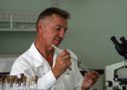 Ergivit - Investigacao